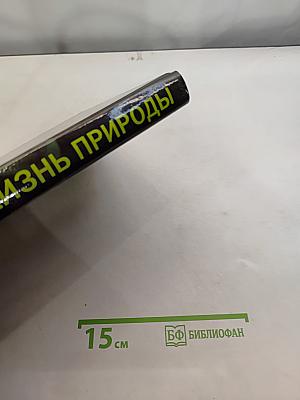 Удивительная жизнь природы
