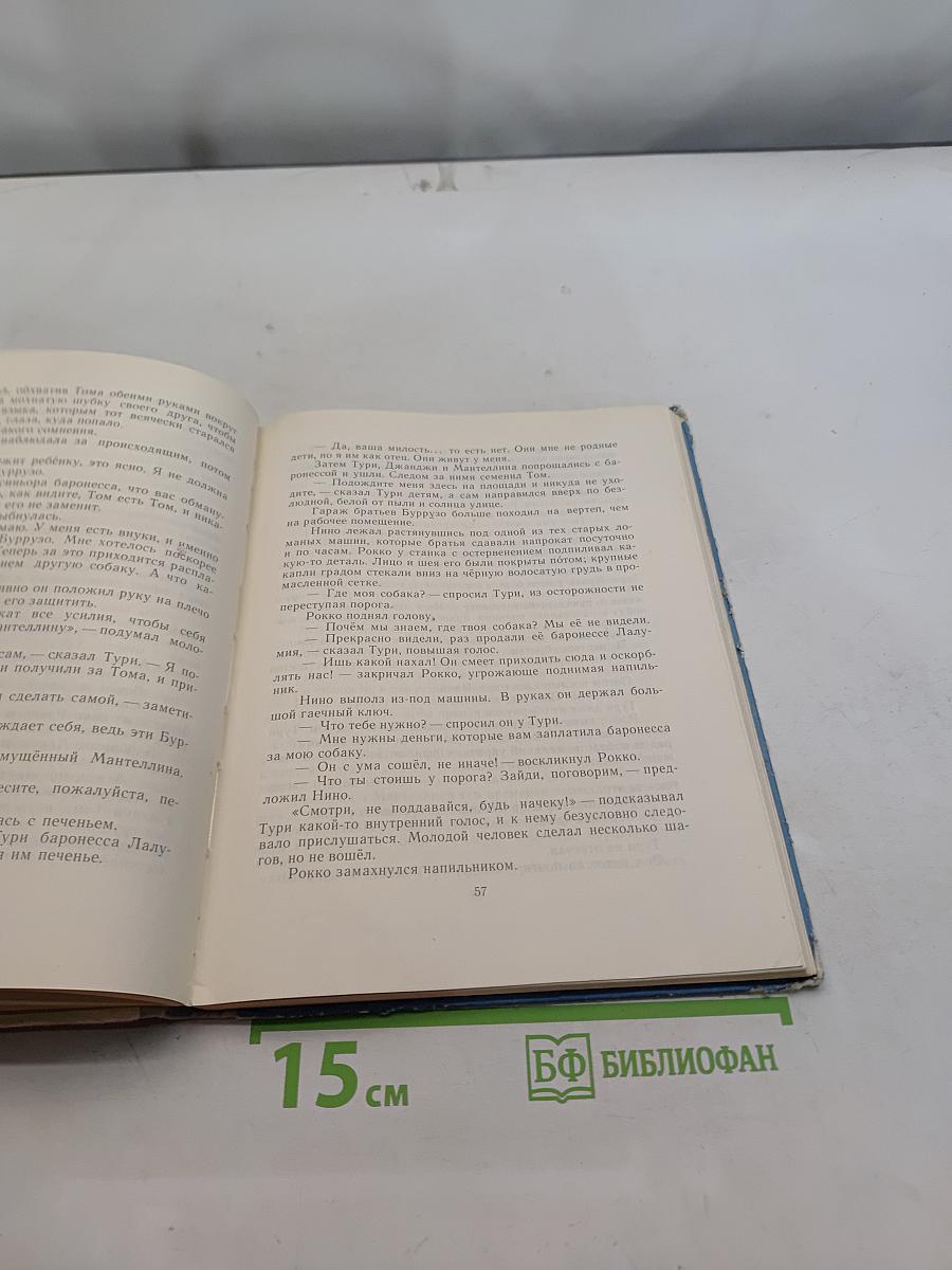 Пятеро ребят и одна собака
