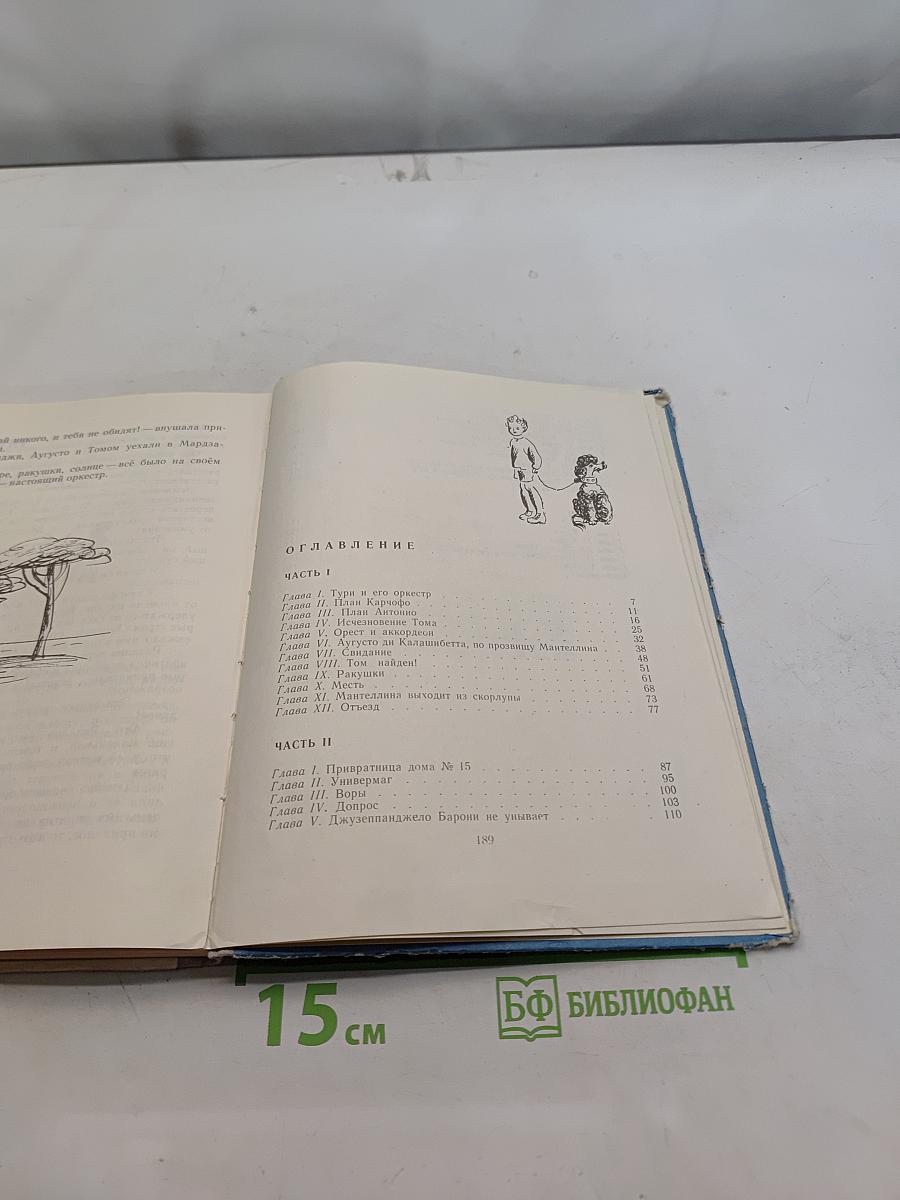 Пятеро ребят и одна собака