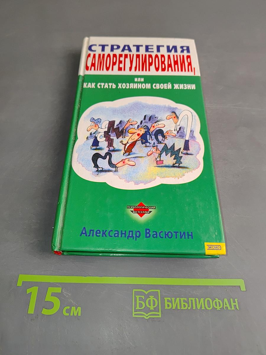 Стратегия саморегулирования, или Как стать хозяином своей жизни
