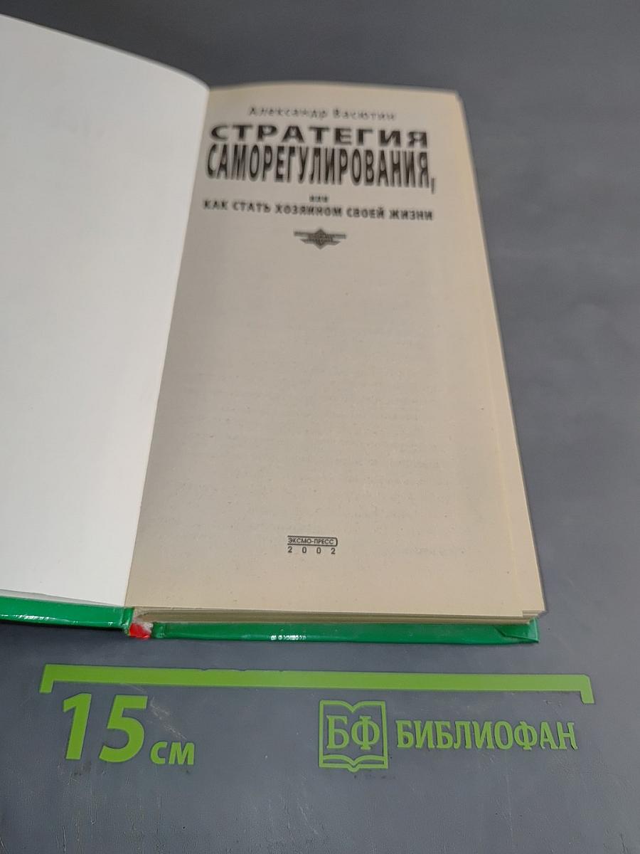 Стратегия саморегулирования, или Как стать хозяином своей жизни