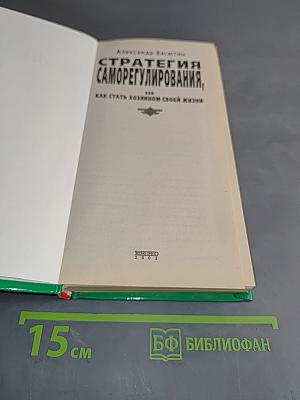 Стратегия саморегулирования, или Как стать хозяином своей жизни