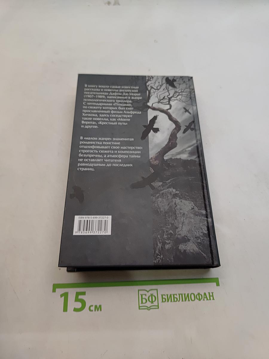 Птицы