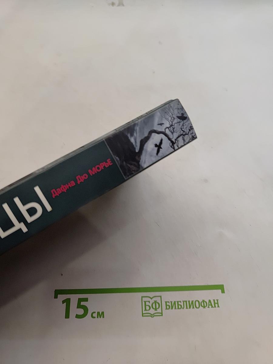 Птицы