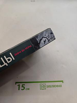 Птицы