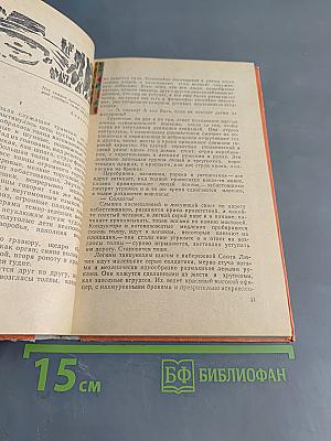 Песня о соколе. Песня о буревестнике. Сказки об Италии