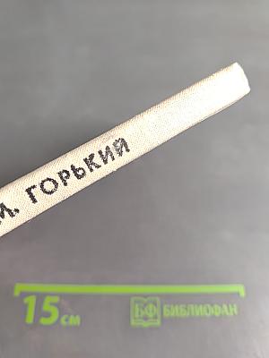 Песня о соколе. Песня о буревестнике. Сказки об Италии