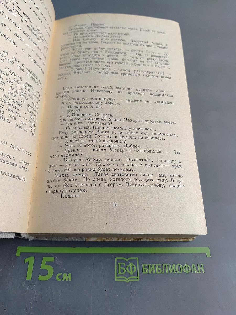 Любавины