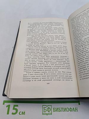 Собрание сочинений. Том шестнадцатый. Жизнь Дэвида Копперфильда, рассказанная им самим