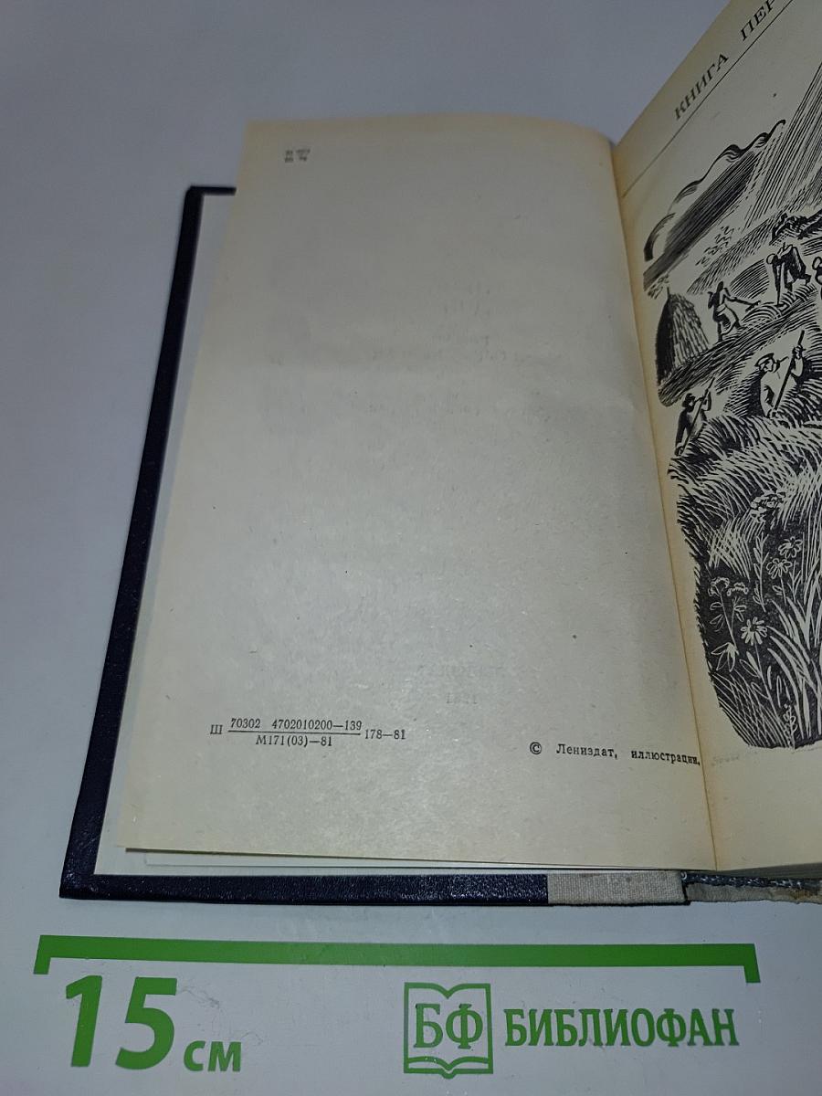 Тихий Дон. Книги первая и вторая