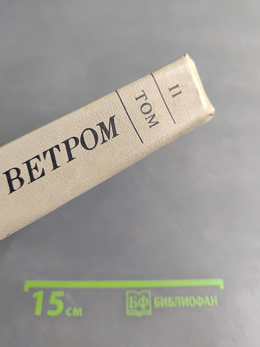 Унесенные ветром. Том II