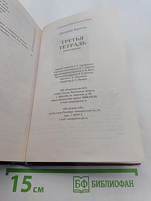 Третья тетрадь. Роман-отражение