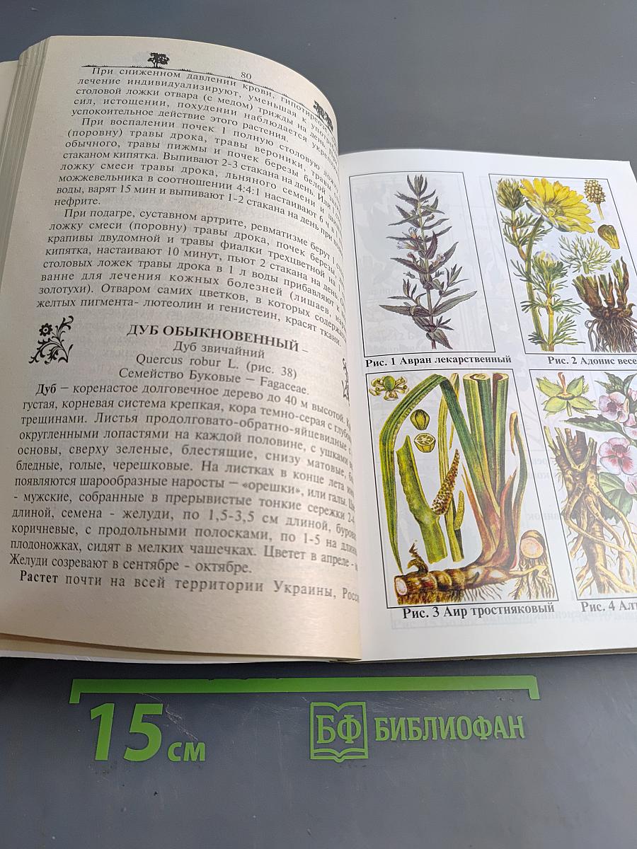 Лекарственные растения и применение их. Сборник