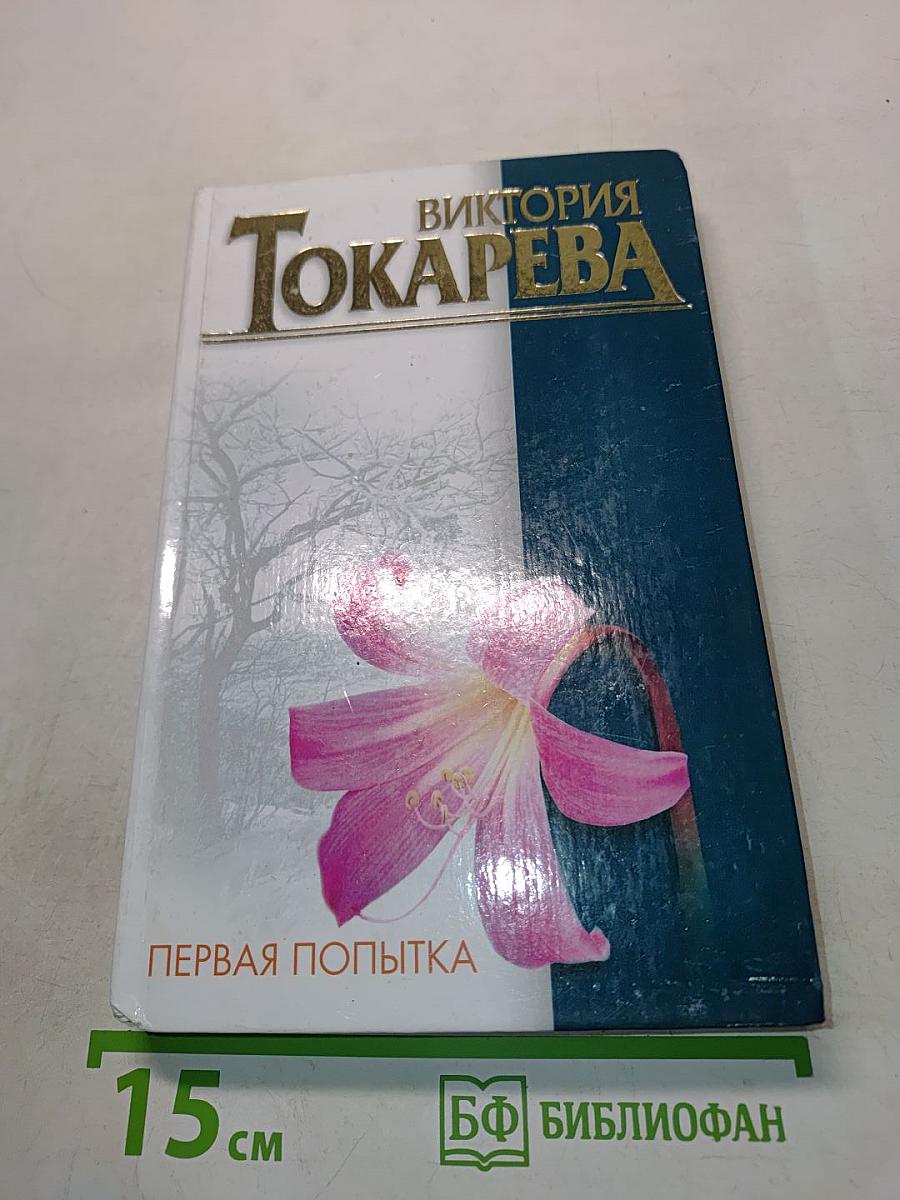 Первая попытка