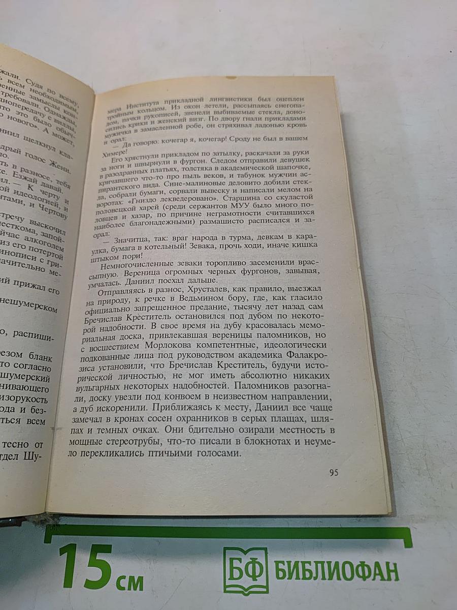 Волчье солнышко