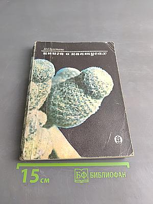 Книга о кактусах