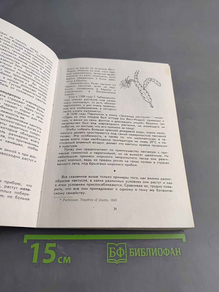 Книга о кактусах