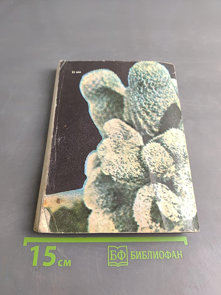 Книга о кактусах