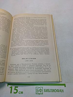 Русская литература. Учебник для восьмого класса средней школы. Часть 1