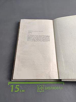Блокада. Роман. Книга третья