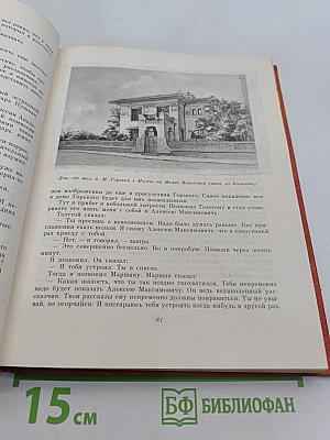 Великая эстафета. Воспоминания. Беседы