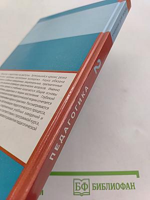Педагогика. Новый курс. В 2 книгах. Книга 2. Процесс воспитания