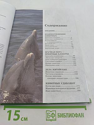 Большая энциклопедия природы. Поведение животных