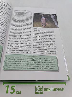 Большая энциклопедия природы. Поведение животных