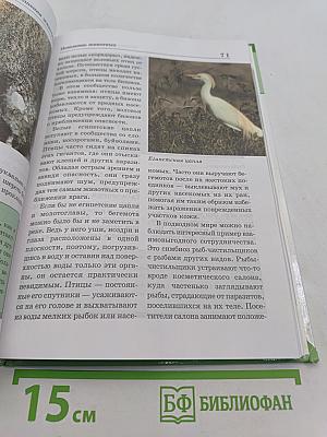 Большая энциклопедия природы. Поведение животных