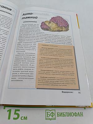 Большая энциклопедия природы. Жизнь растений. Водоросли, лишайники, мхи. Том 5
