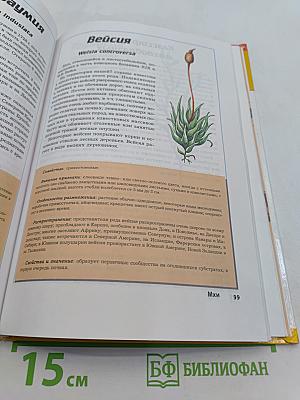 Большая энциклопедия природы. Жизнь растений. Водоросли, лишайники, мхи. Том 5