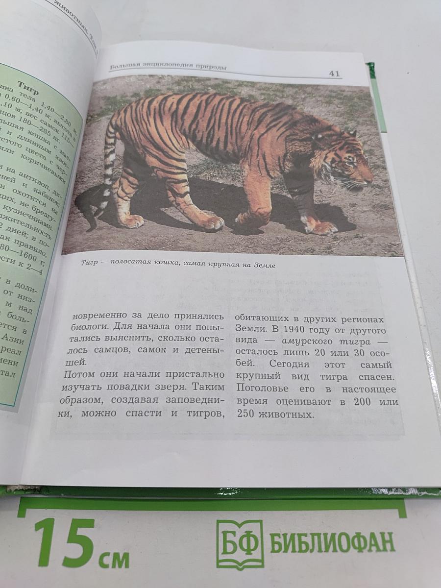 Большая энциклопедия природы. Жизнь животных. Том 2