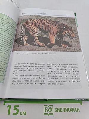 Большая энциклопедия природы. Жизнь животных. Том 2