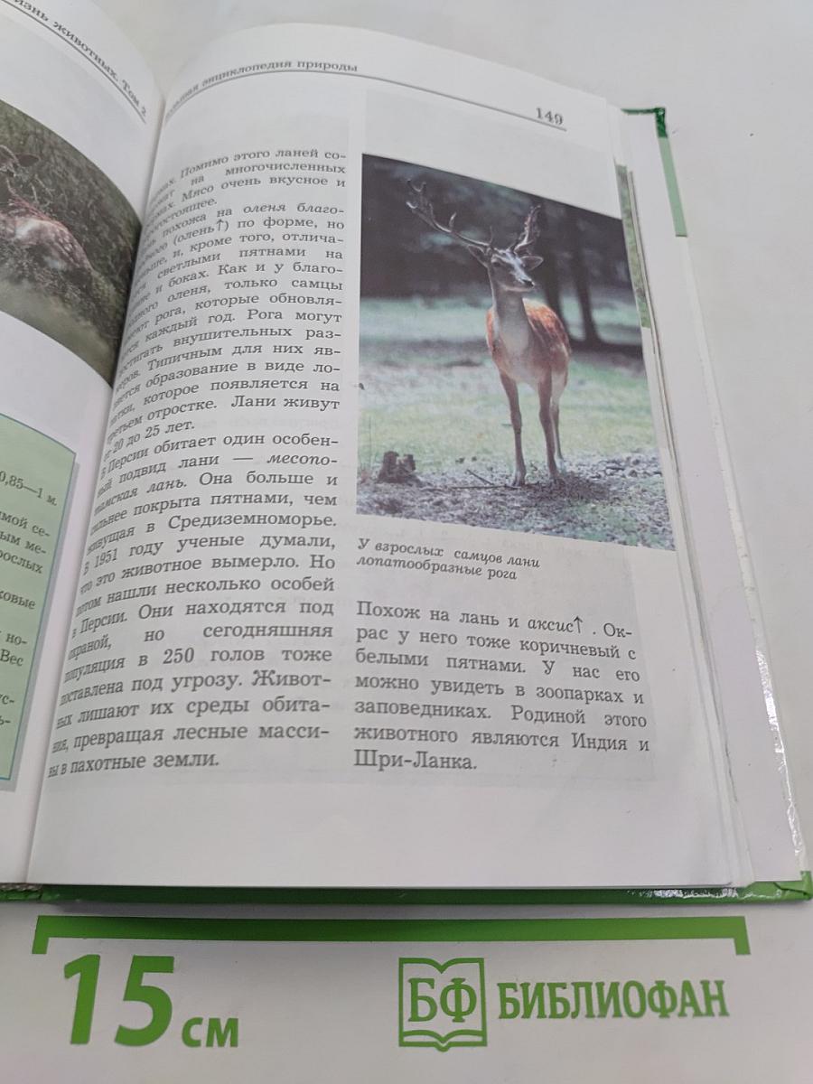 Большая энциклопедия природы. Жизнь животных. Том 2