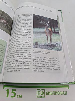 Большая энциклопедия природы. Жизнь животных. Том 2