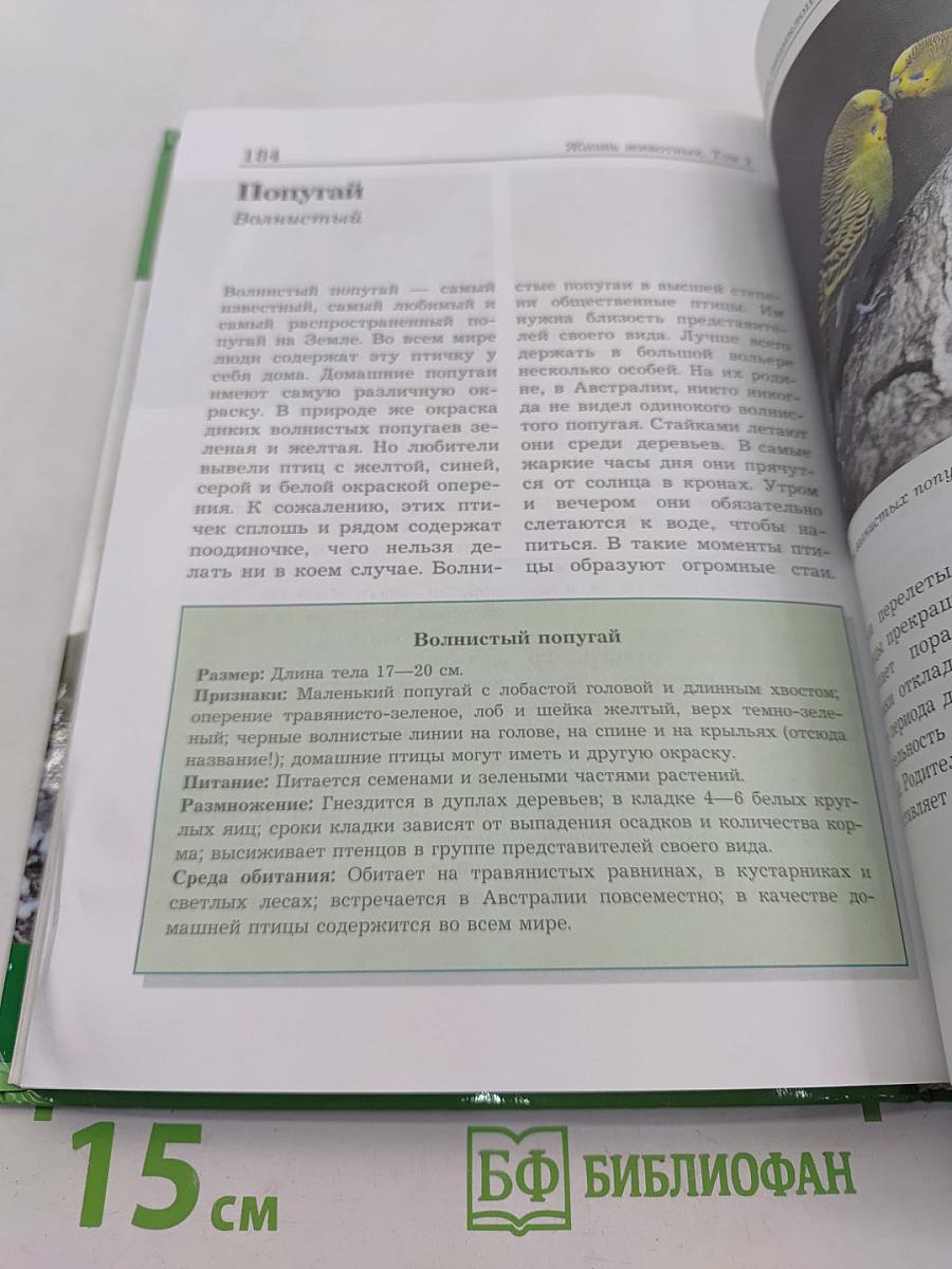 Большая энциклопедия природы. Жизнь животных. Том 2