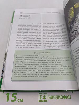 Большая энциклопедия природы. Жизнь животных. Том 2