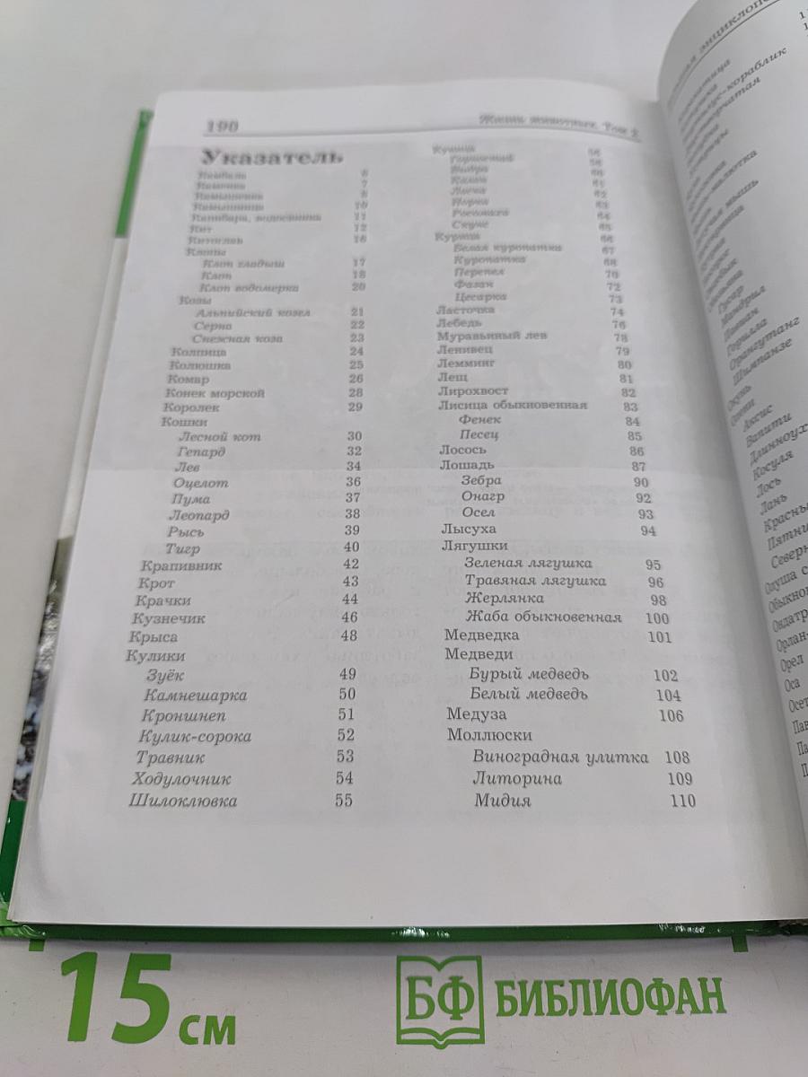 Большая энциклопедия природы. Жизнь животных. Том 2