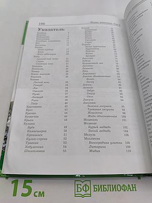Большая энциклопедия природы. Жизнь животных. Том 2