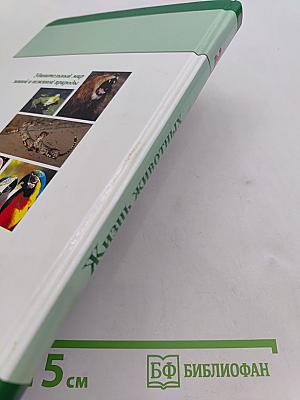Большая энциклопедия природы. Жизнь животных. Том 2