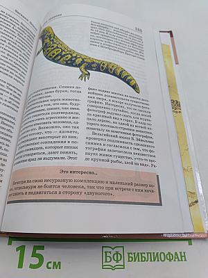 Большая энциклопедия природы. Загадки Земли. Том 15