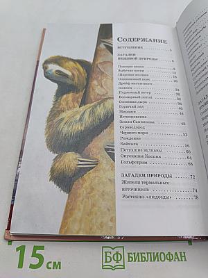 Большая энциклопедия природы. Загадки Земли. Том 15