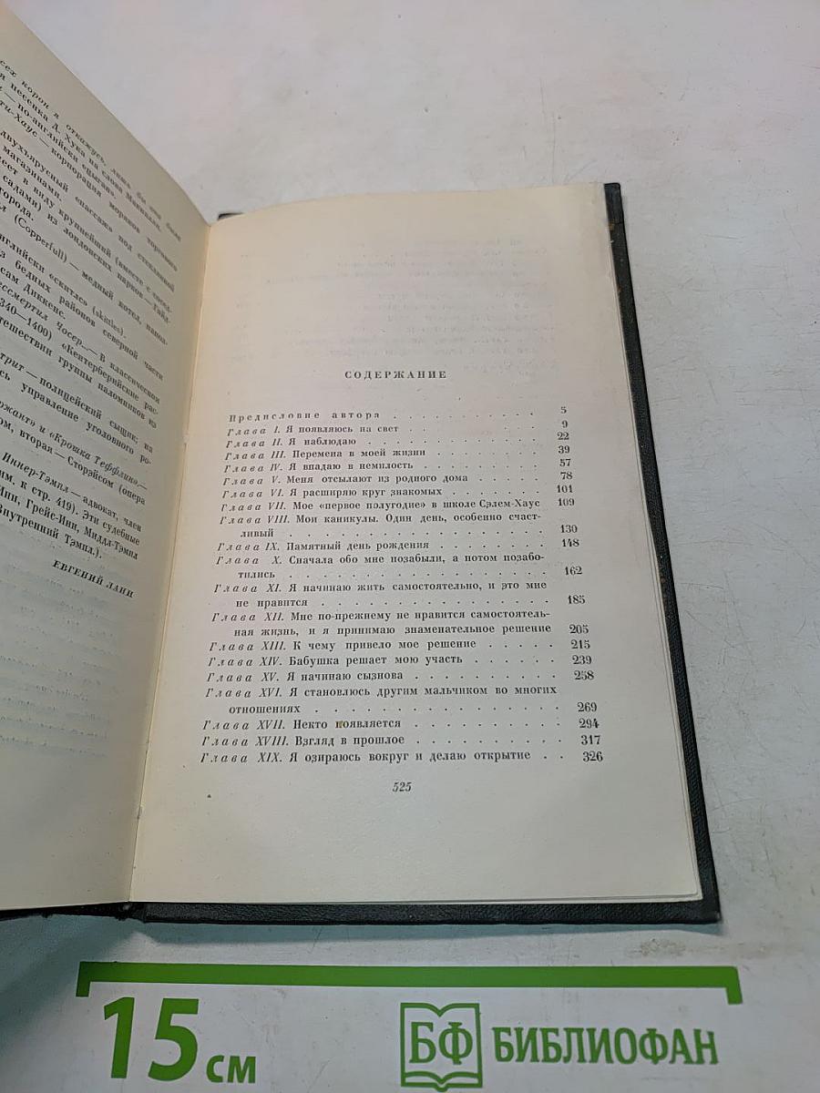 Собрание сочинений. Том пятнадцатый. Жизнь Дэвида Копперфильда, рассказанная им самим. Роман (Главы I-XXI)