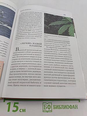 Большая энциклопедия природы. Чудеса природы. Том 16
