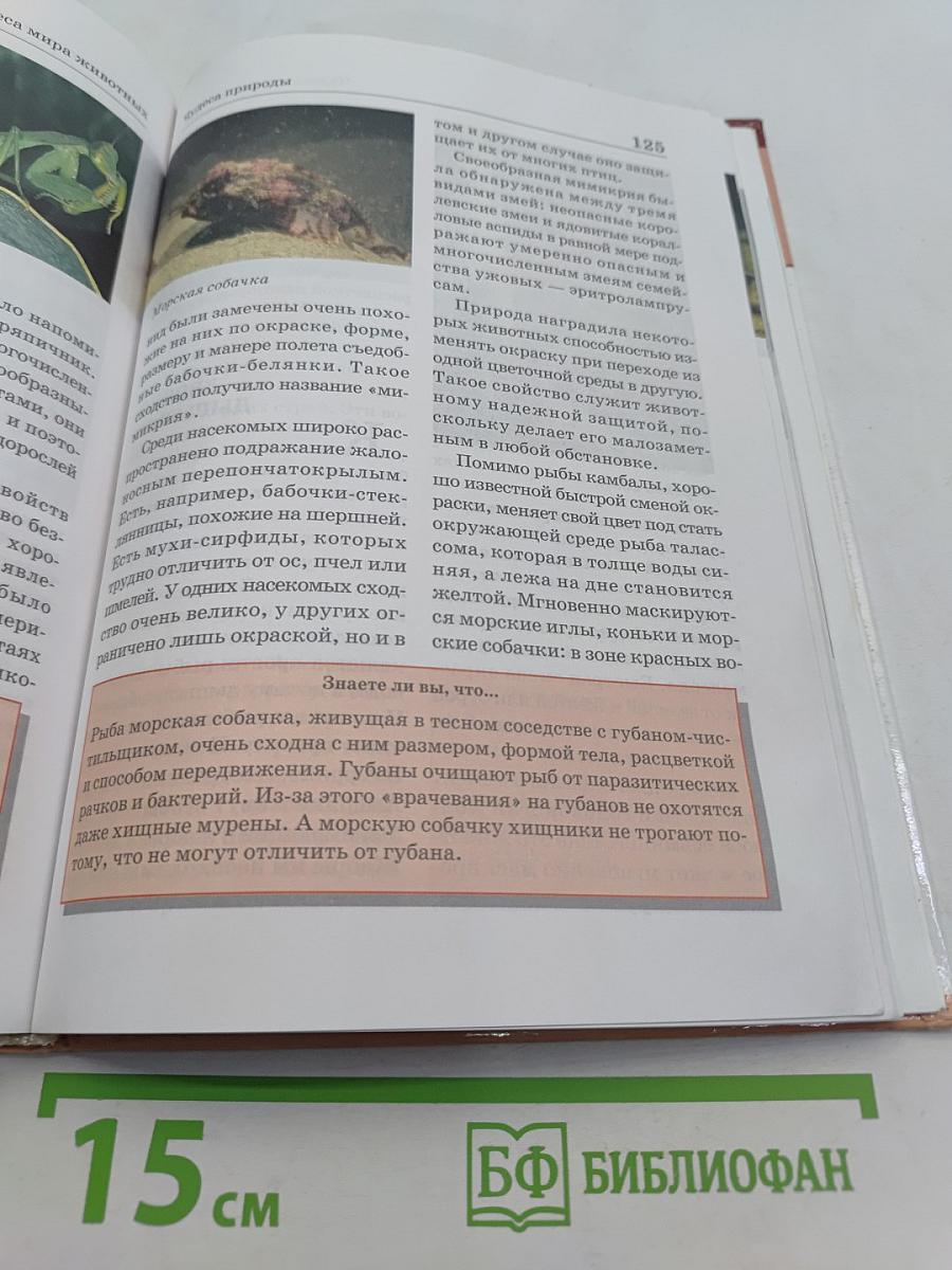 Большая энциклопедия природы. Чудеса природы. Том 16