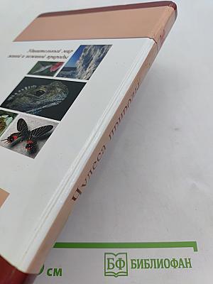 Большая энциклопедия природы. Чудеса природы. Том 16