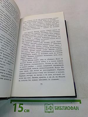 И эхо летит по горам