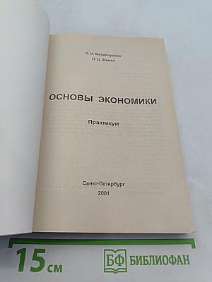 Основы экономики. Практикум