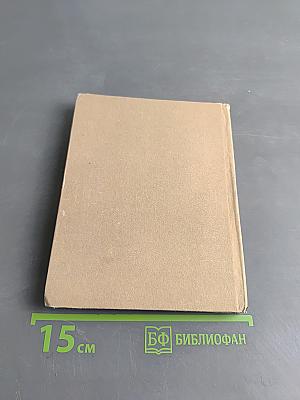 Тайны мира насекомых
