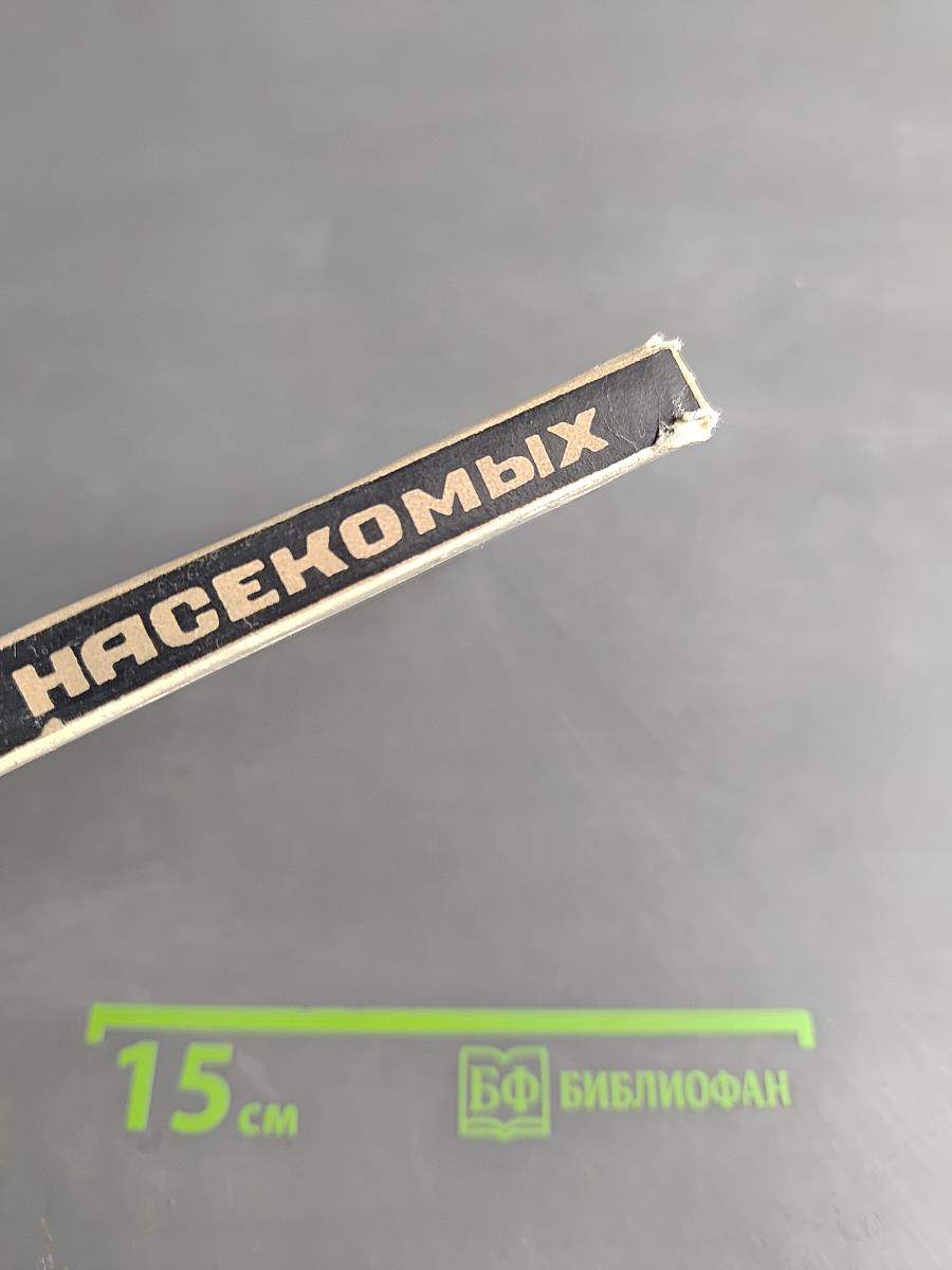 Тайны мира насекомых